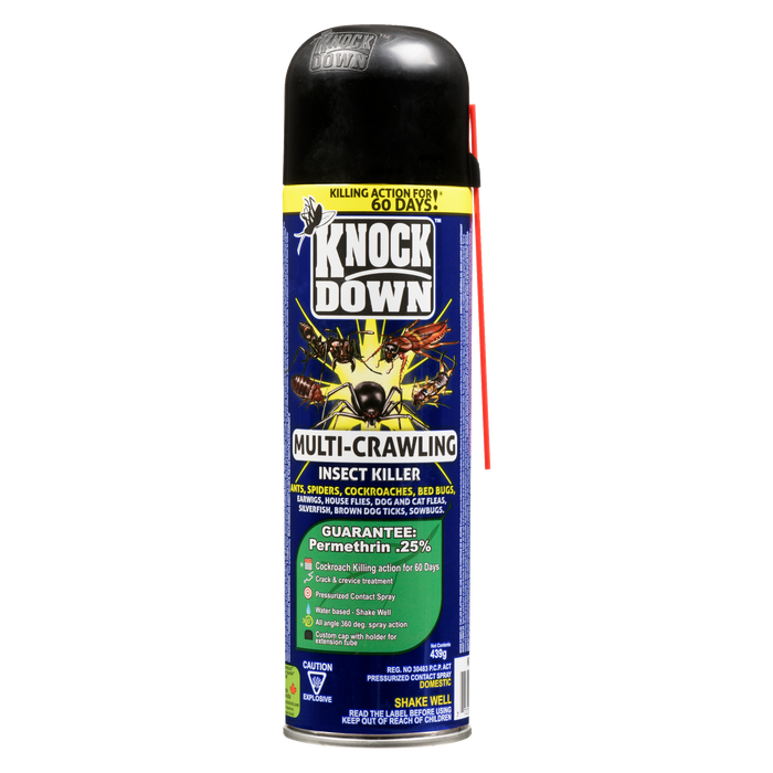 Spray de contact sous pression Knock Down, tueur d'insectes rampants multiples, 439 g