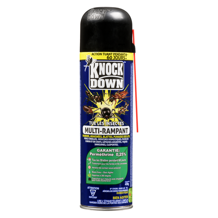 Spray de contact sous pression Knock Down, tueur d'insectes rampants multiples, 439 g