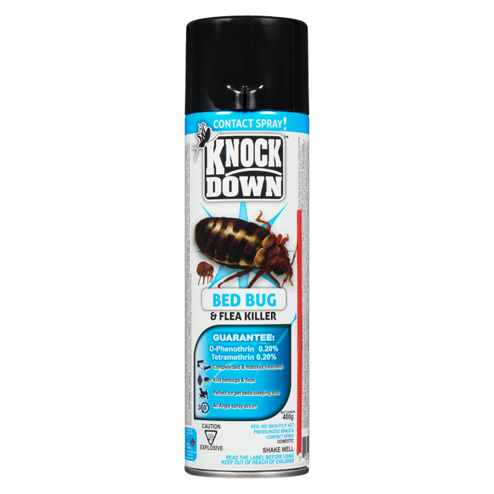 Knock Down Pressurized Space & Contact Spray Domestic 400 g